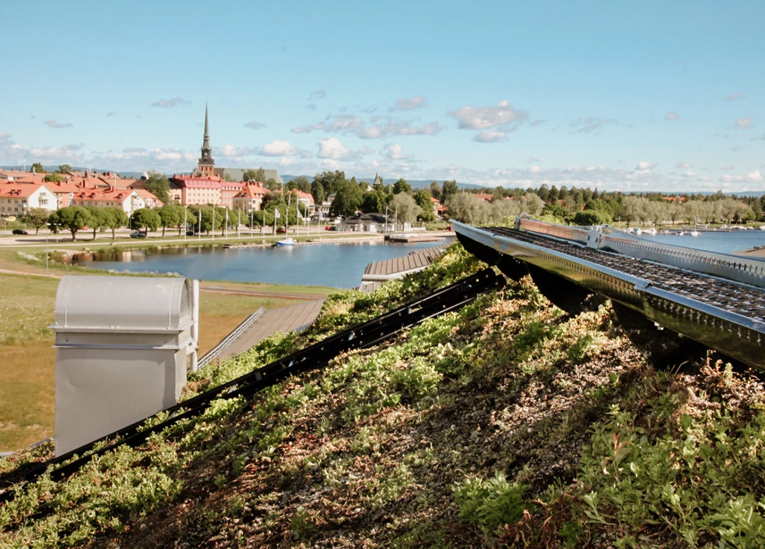 Takbrygga och takstege på sedumtak.